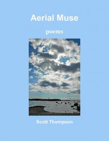 Aerial Muse: poems