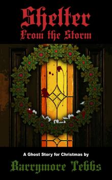 Shelter From the Storm - A Ghost Story for Christmas