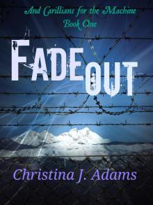 Fadeout