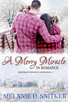 A Merry Miracle In Romance (Christmas In Romance Book 2)