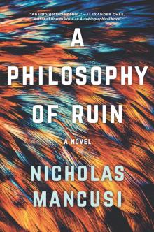 A Philosophy of Ruin