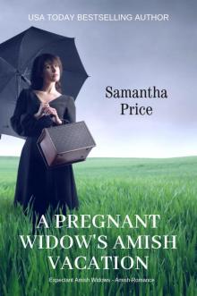 A Pregnant Widow's Amish Vacation