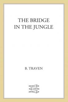 Bridge in the Jungle