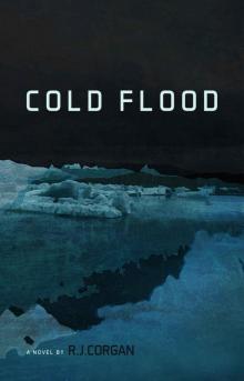 Cold Flood (Kea Wright Mysteries Book 1)