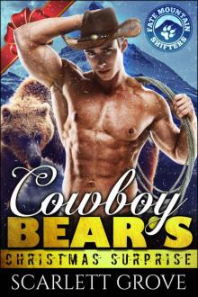 Cowboy Bear's Christmas Surprise