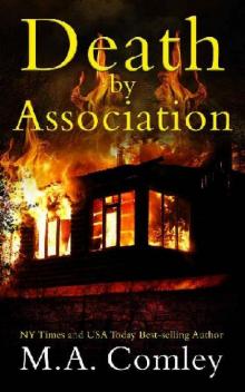 Death by Association: The Wellington Cozy Mystery series