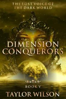 Dimension Conquerors