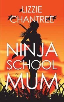 Ninja School Mum