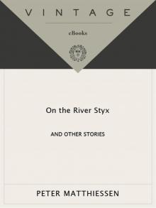 On the River Styx: And Other Stories