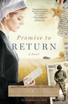 Promise to Return