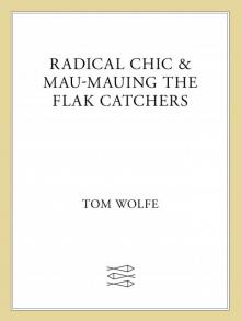 Radical Chic and Mau-Mauing the Flak Catchers