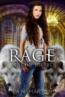 Rage (Wolf Rage Book 2)