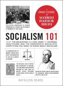 Socialism 101