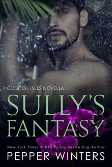 Sully's Fantasy (Goddess Isles, #6)