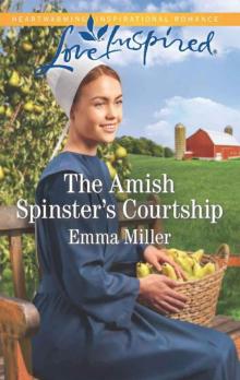 The Amish Spinster's Courtship (Hickory Grove Book 1)