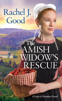 The Amish Widow's Rescue