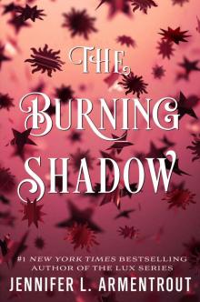 The Burning Shadow (Origin Series)