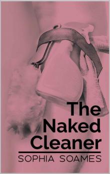 The Naked Cleaner