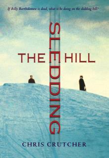 The Sledding Hill