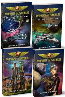 Wings of Steele- The Series