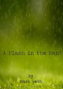 A Flash in the Pan?