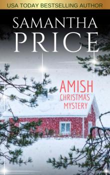 Amish Christmas Mystery