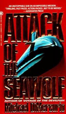 Attack Of The Seawolf