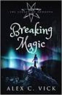 Breaking Magic (The Legacy of Androva Book 5)