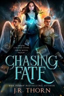 Chasing Fate: A Reverse Harem Romance