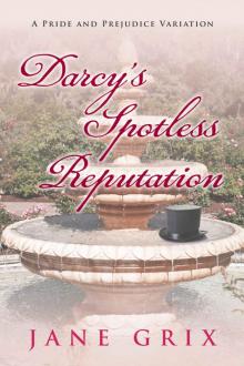 Darcy's Spotless Reputation