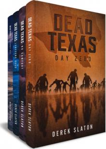 Dead Texas: Books 1-4 Box Set