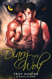 Diary of a Wolf: A Gay Shifter Romance