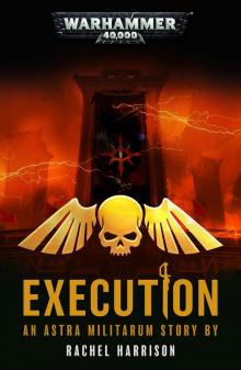 Execution - Rachel Harrison