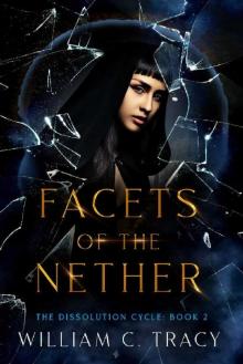 Facets of the Nether