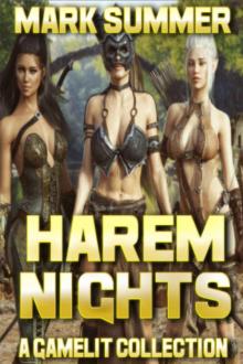 Harem Nights Online