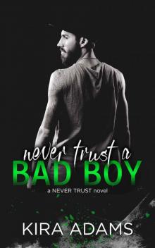 Never Trust a Bad Boy (The Never Trust Series)