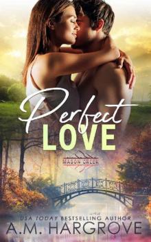 Perfect Love: Mason Creek #3