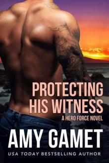 Protecting his Witness (HERO Force Book 9)