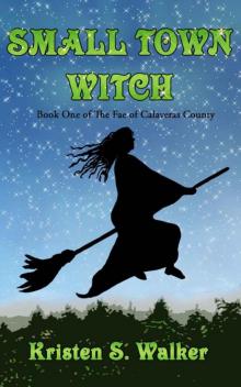 Small Town Witch (The Fae of Calaveras County)