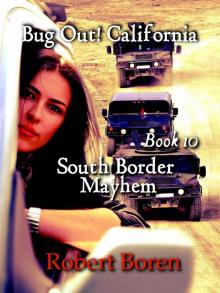 South Border Mayhem