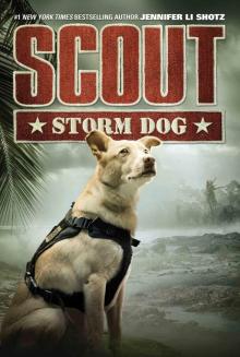 Storm Dog