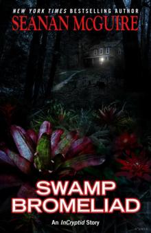 Swamp Bromeliad