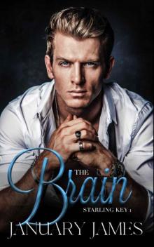 The Brain: An enemies-to-lovers romance (Starling Key Book 1)