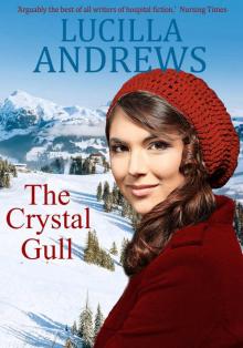 The Crystal Gull: A Christmas of romance and drama in the Austrian Alps