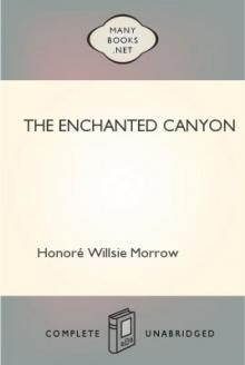 The Enchanted Canyon