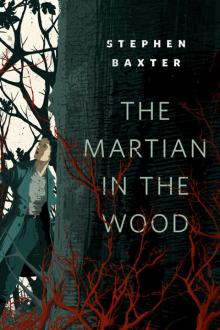 The Martian in the Wood