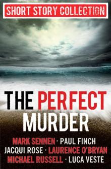 The Perfect Murder