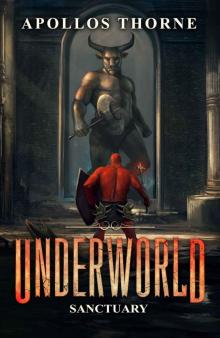 Underworld - Sanctuary: A LitRPG Series