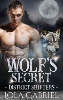 Wolf's Secret (District Shifters Book 3)