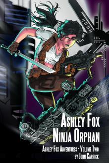 Ashley Fox - Ninja Orphan